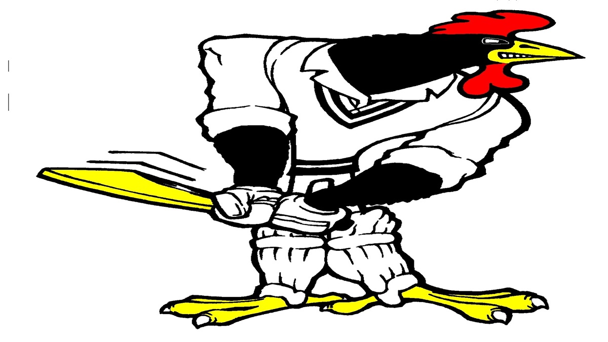 Position vacant – All Abilities Coach